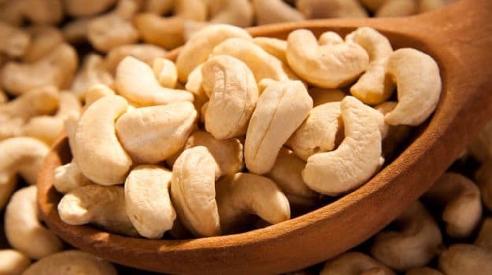 vietnamese-cashew-report-pangea-brokers